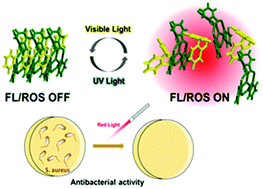 Graphical abstract: Photoswitchable phthalocyanine-assembled nanoparticles for controlled “double-lock” photodynamic therapy