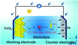 Graphical abstract: 2D elongated polyhedral-like YVO4 films: a novel photoanode for photoelectrochemical water splitting