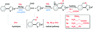 Graphical abstract: Transient directing ligand- and solvent-controlled C–H/C–H cross-coupling/quaternization cyclization/dequaternization of benzaldehydes with thiophenes
