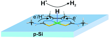 Graphical abstract: Photocatalytic hydrogen evolution on Si photocathodes modified with bis(thiosemicarbazonato)nickel(ii)/Nafion