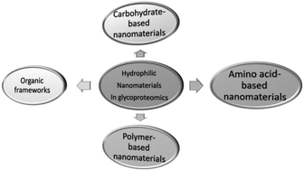 Graphical abstract: Advances in hydrophilic nanomaterials for glycoproteomics