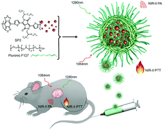 Graphical abstract: 1300 nm absorption two-acceptor semiconducting polymer nanoparticles for NIR-II photoacoustic imaging system guided NIR-II photothermal therapy