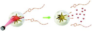 Graphical abstract: A NIR light-triggered drug delivery system using core–shell gold nanostars–mesoporous silica nanoparticles based on multiphoton absorption photo-dissociation of 2-nitrobenzyl PEG