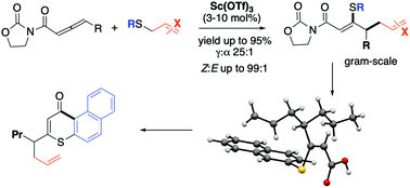 Graphical abstract: Scandium catalysed stereoselective thio-allylation of allenyl-imidates