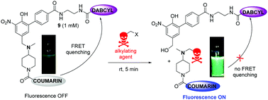 Graphical abstract: A FRET probe for the detection of alkylating agents