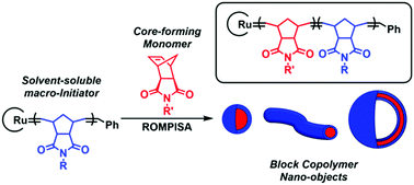 Graphical abstract: Ring-opening metathesis polymerization-induced self-assembly (ROMPISA)
