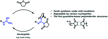 Graphical abstract: Guanidine cyclic diimides and their polymers