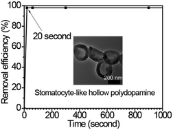 Graphical abstract: Stomatocyte-like hollow polydopamine nanoparticles for rapid removal of water-soluble dyes from water