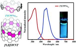 Graphical abstract: Precise synthesis and photophysical properties of a small chiral carbon nanotube segment: cyclo[7]paraphenylene-2,6-naphthylene