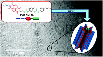 Graphical abstract: Robust supramolecular nanocylinders of naphthalene diimide in water