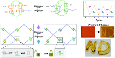 Graphical abstract: Reversible hydrogel dynamics by physical–chemical crosslink photoswitching using a supramolecular macrocycle template