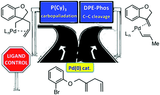 Graphical abstract: Pd-catalyzed cascade reactions involving skipped dienes: from double carbopalladation to remote C–C cleavage
