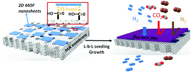 Graphical abstract: Formation of a thin and continuous MOF membrane with 2-D MOF nanosheets as seeds via layer-by-layer growth