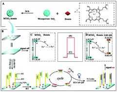 Graphical abstract: A novel “signal on” photoelectrochemical strategy based on dual functional hemin for microRNA assay