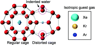 Graphical abstract: Anisotropy of dodecahedral water cages for guest gas occupancy in semiclathrate hydrates