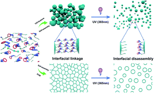 Graphical abstract: Controlling interfacial interactions of supramolecular assemblies by light-responsive overcrowded alkenes