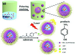 Graphical abstract: Interfacial self-assembly of gold nanoparticle-polymer nanoconjugates into microcapsules with near-infrared light modulated biphasic catalysis efficiency