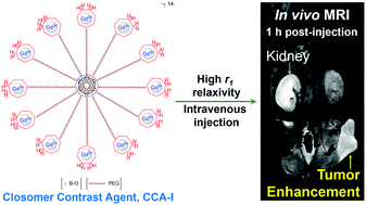 Graphical abstract: A multimeric MRI contrast agent based on a closo-borane scaffold bearing modified AAZTA chelates on the periphery