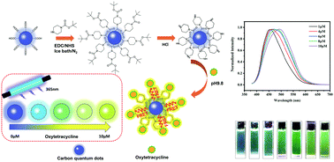 Graphical abstract: A target analyte induced fluorescence band shift of piperazine modified carbon quantum dots: a specific visual detection method for oxytetracycline