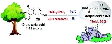 Graphical abstract: Zirconia-supported rhenium oxide as an efficient catalyst for the synthesis of biomass-based adipic acid ester