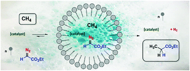 Graphical abstract: Methane functionalization in water with micellar catalysis