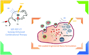 Graphical abstract: Self-assembled peptido-nanomicelles as an engineered formulation for synergy-enhanced combinational SDT, PDT and chemotherapy to nasopharyngeal carcinoma