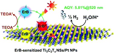 Graphical abstract: Ti3C2Tx MXene nanosheet-confined Pt nanoparticles efficiently catalyze dye-sensitized photocatalytic hydrogen evolution reaction