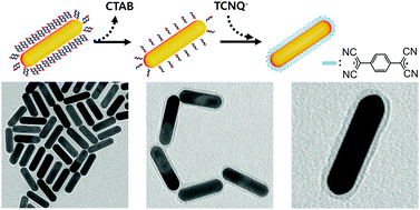Graphical abstract: Controllable coating and reshaping of gold nanorods with tetracyanoquinodimethane