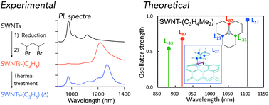 Graphical abstract: Thermodynamic control of quantum defects on single-walled carbon nanotubes