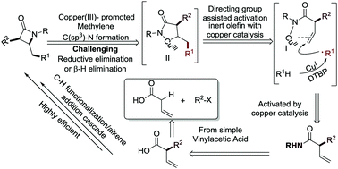 Graphical abstract: A practical copper-catalyzed approach to β-lactams via radical carboamination of alkenyl carbonyl compounds