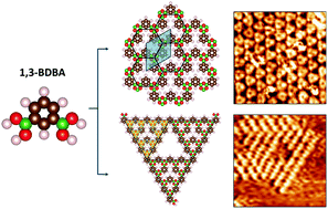 Graphical abstract: Covalent organic frameworks from a monomer with reduced symmetry: polymorphism and Sierpiński triangles