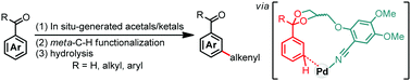Graphical abstract: Chelation-directed remote meta-C–H functionalization of aromatic aldehydes and ketones