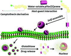 Graphical abstract: Bifunctional supramolecular prodrug vesicles constructed from a camptothecin derivative with a water-soluble pillar[5]arene for cancer diagnosis and therapy