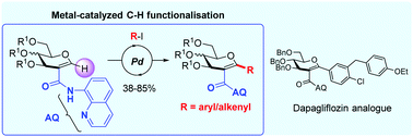 Graphical abstract: Access to C-aryl/alkenylglycosides by directed Pd-catalyzed C–H functionalisation of the anomeric position in glycal-type substrates