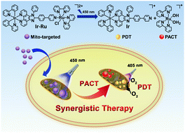 Graphical abstract: A mitochondria-targeting dinuclear Ir–Ru complex as a synergistic photoactivated chemotherapy and photodynamic therapy agent against cisplatin-resistant tumour cells