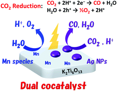 Graphical abstract: A silver–manganese dual co-catalyst for selective reduction of carbon dioxide into carbon monoxide over a potassium hexatitanate photocatalyst with water