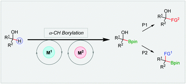 Graphical abstract: α-C–H borylation of secondary alcohols via Ru/Fe relay catalysis: building a platform for alcoholic C–H/C–O functionalizations