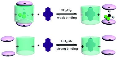 Graphical abstract: Unexpected solvent effect on the binding of positively-charged macrocycles to neutral aromatic hydrocarbons