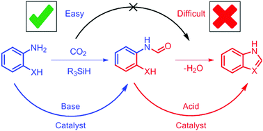 Graphical abstract: The dilemma between acid and base catalysis in the synthesis of benzimidazole from o-phenylenediamine and carbon dioxide