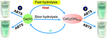 Graphical abstract: Intentional hydrolysis to overcome the hydrolysis problem: detection of Ce(iv) by producing oxidase-like nanozymes with F−