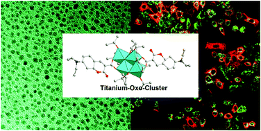 Graphical abstract: Bio-compatible fluorescent nano TiO materials prepared from titanium-oxo-cluster precursors