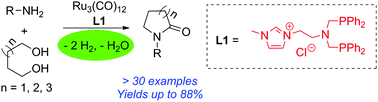 Graphical abstract: Ruthenium-catalyzed synthesis of N-substituted lactams by acceptorless dehydrogenative coupling of diols with primary amines