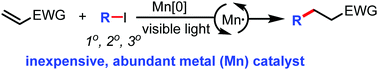 Graphical abstract: Visible-light-initiated manganese-catalyzed Giese addition of unactivated alkyl iodides to electron-poor olefins