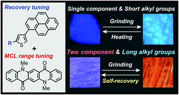 Graphical abstract: Tunable mechanochromic luminescence of 2-alkyl-4-(pyren-1-yl)thiophenes: controlling the self-recovering properties and the range of chromism