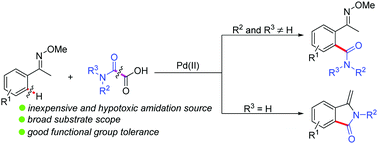 Graphical abstract: Palladium-catalyzed decarboxylative ortho-amidation of O-methyl ketoximes with oxamic acids