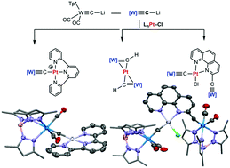 Graphical abstract: Tungsten–platinum μ-carbido and μ-methylidyne complexes