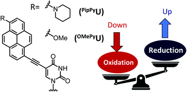 Graphical abstract: Inhibiting guanine oxidation and enhancing the excess-electron-transfer efficiency of a pyrene-modified oligonucleotide by introducing an electron-donating group on pyrene