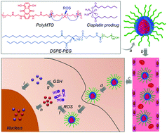 Graphical abstract: A polyprodrug-based nanoplatform for cisplatin prodrug delivery and combination cancer therapy