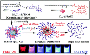 Graphical abstract: Light-activated drug release from prodrug nanoassemblies by structure destruction
