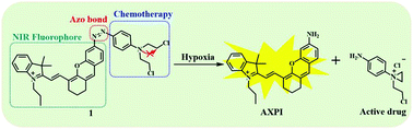 Graphical abstract: Azo-based near-infrared fluorescent theranostic probe for tracking hypoxia-activated cancer chemotherapy in vivo